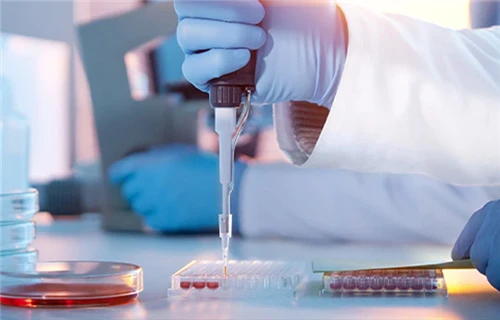 Innovation Creates New Possibilities in Chemical Materials
